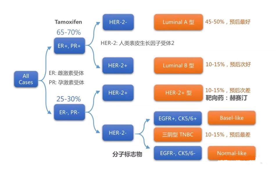 佳学基因 基因检测 乳腺癌精准治疗之分子分型治疗时代 佳学基因官网 基因检测 基因解码 基因矫正 4001601189