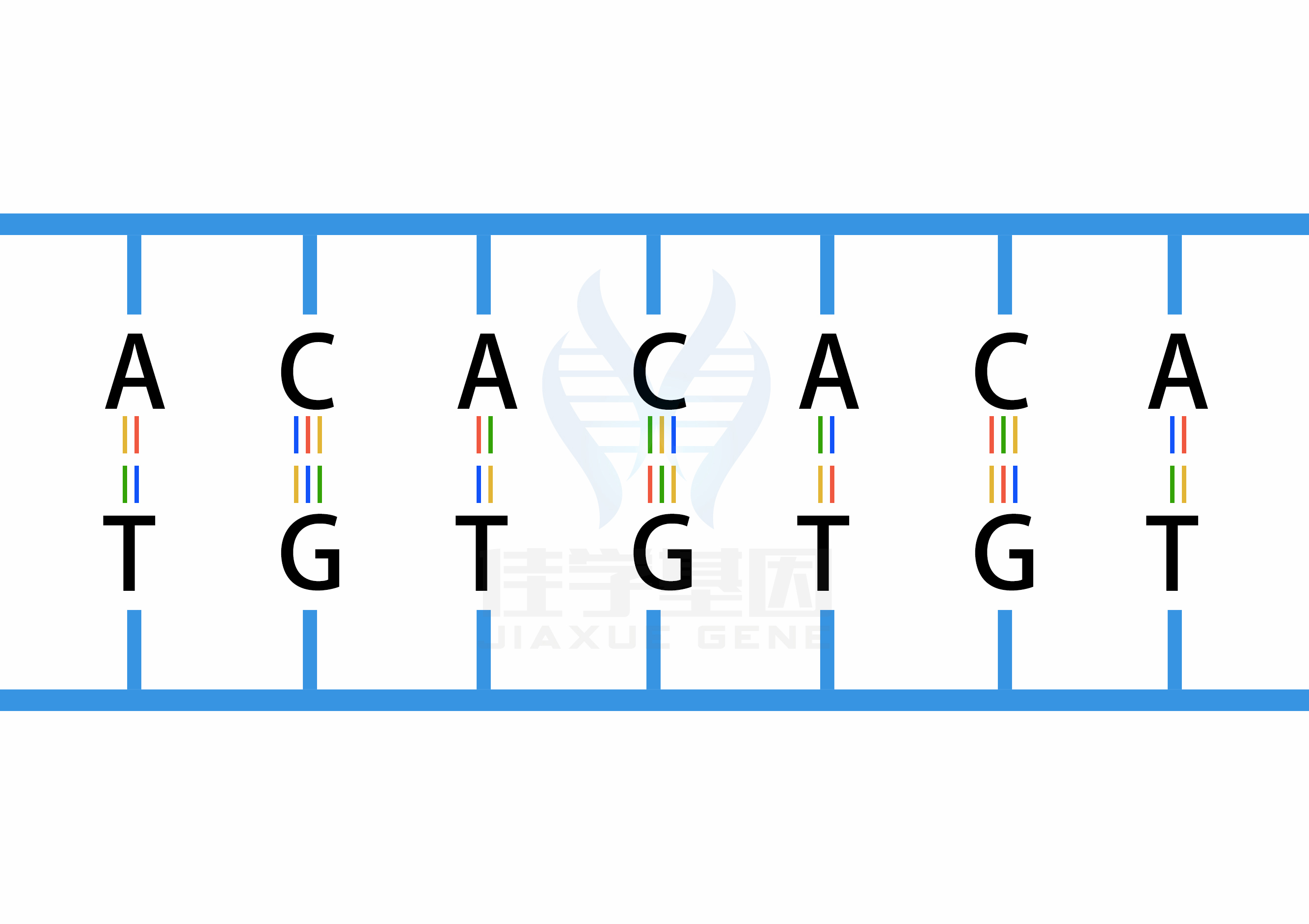 【佳学基因检测】自然杀伤细胞和糖皮质激素缺乏与DNA修复缺陷基因解码、<a href=http://www.jiaxuejiyin.com/tk/jiema/cexujishu/2021/31933.html>基因检测</a>有什么用？