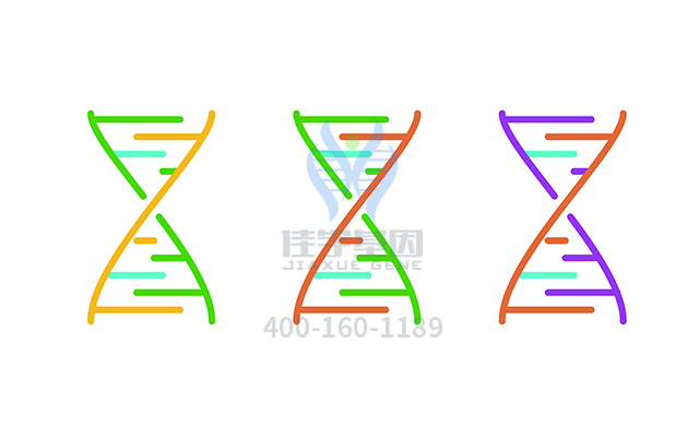 【佳学基因检测】X连锁视网膜色素变性和中呼吸道感染伴或不伴耳聋基因解码、<a href=http://www.jiaxuejiyin.com/tk/jiema/cexujishu/2021/31933.html>基因检测</a>有什么用？