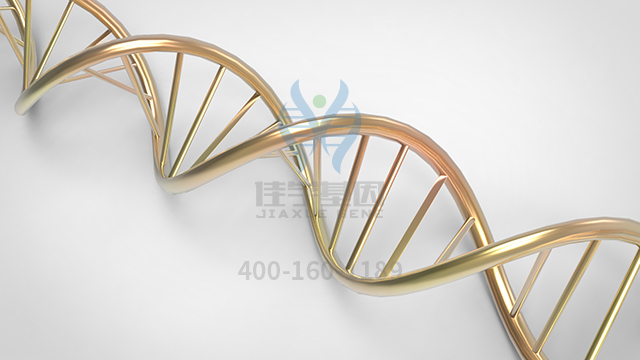 <b>【佳学基因检测】可以做BRIC遗传基因检测吗？</b>