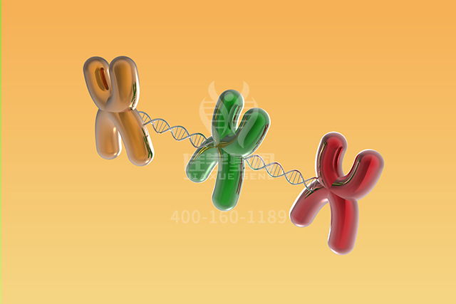 <b>【佳学基因检测】医学博士TNFRSF17突变检测的知识结构准备</b>