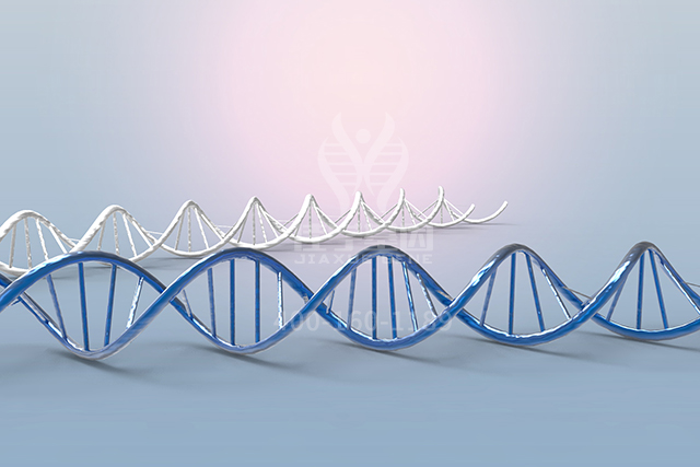 医学博士ARSF分子病理检测的知识结构准备