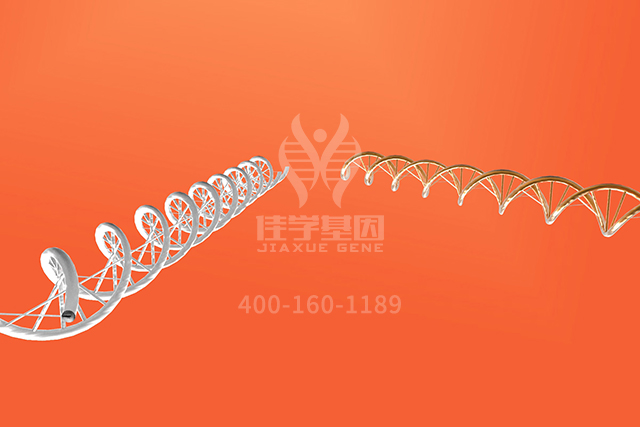 临床医学硕士关于BAGE分子病理检测的必备内容