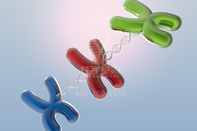 <b>【佳学基因检测】全基因测序ART1分子病理检测有意义未明突变，我该怎么办？</b>
