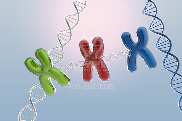<b>【佳学基因检测】分子病理检测包中为什么一定要有BCL7A基因？</b>