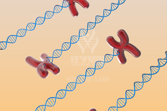 【佳学基因检测】遗传<font color='red'>代谢</font>科分子病理检测知识测验中关于ASS1P10的准备