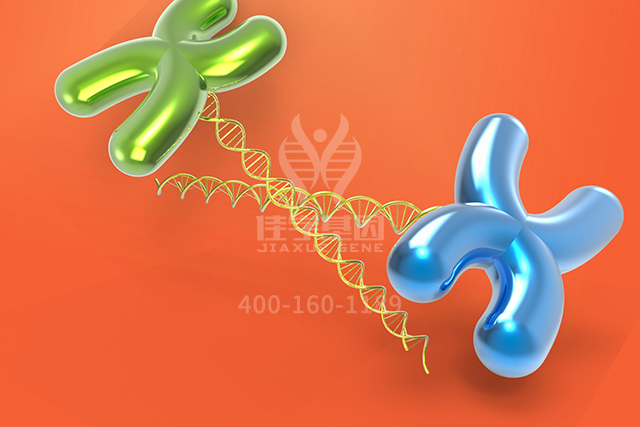 <b>【佳学基因检测】这些关于ART4的内容，是突变检测正确性的必要条件</b>