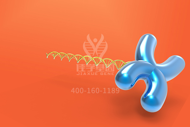 神经外科学中如何充实APOC1P1分子病理检测内容