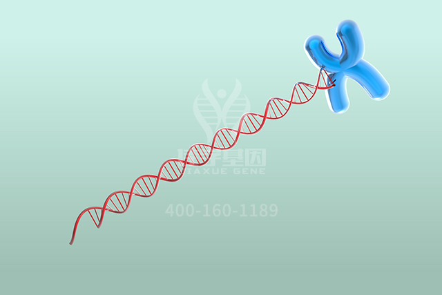骨科分子病理检测项目招标中关于ART2P的问题