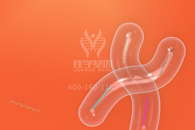 <b>【佳学基因检测】医学院硕士研究考试关于ASGR1突变检测的知识要点</b>