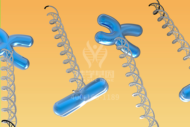<b>【佳学基因检测】ASLP1基因评估分析应该包括多少位点</b>
