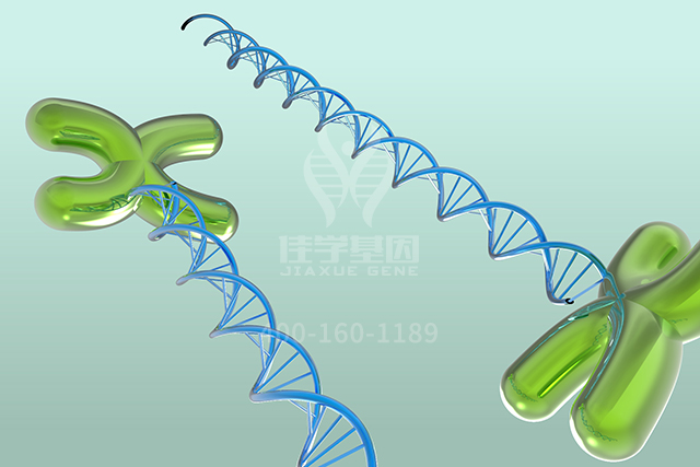 医学院硕士研究考试关于ARSF分子病理检测的知识要点