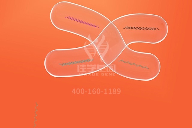 <b>【佳学基因检测】皮肤科突变检测能力评估中可能问到的关于GET3的问题</b>