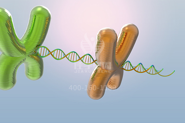 <b>【佳学基因检测】这些关于ARF4P1的内容，是分子病理检测正确性的必要条件</b>