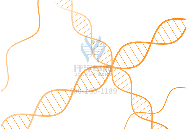 【佳学基因检测】做<font color='red'>耳聋</font>先天性心脏缺陷有后胚胎环基因解码、<a href=http://www.jiaxuejiyin.com/tk/jiema/cexujishu/2021/31933.html>基因检测</a>需要到总部吗？