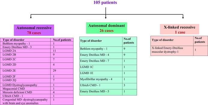名为 MGG3-12-e2123-g008.jpg 的图形文件