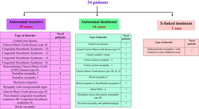 名为 MGG3-12-e2123-g005.jpg 的图形文件