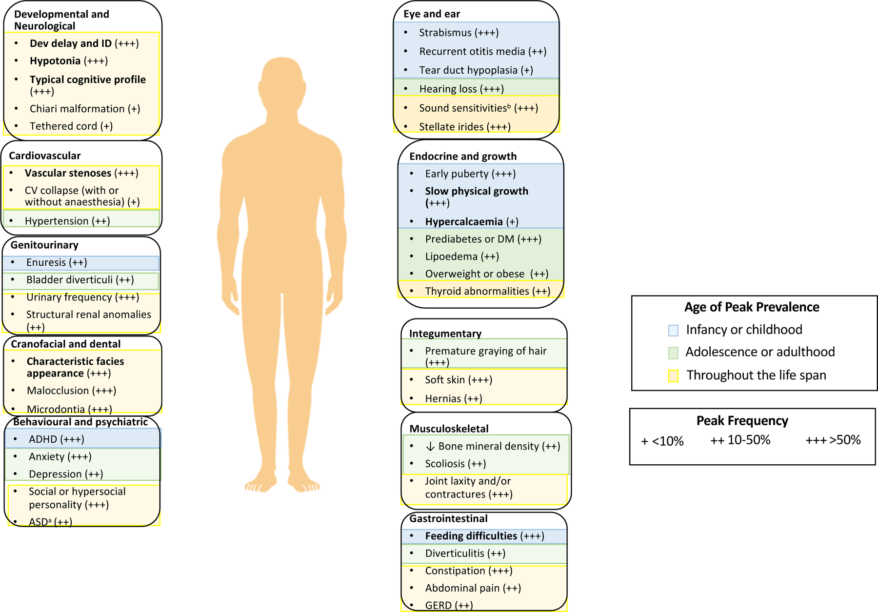 图 1.威廉姆斯综合征的显著特征