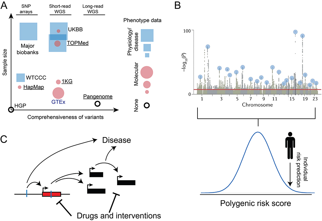 人类基因解码数据集及其作用