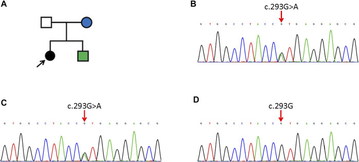 变异性红斑角化症找佳学基因