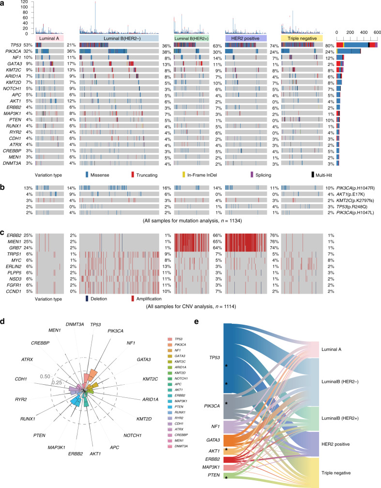 图2:医学基因检测如何帮助乳腺癌患者找到靶向药物？02