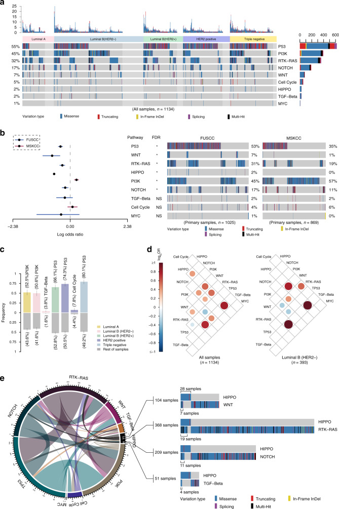 图4医学基因检测如何帮助乳腺癌患者找到靶向药物？