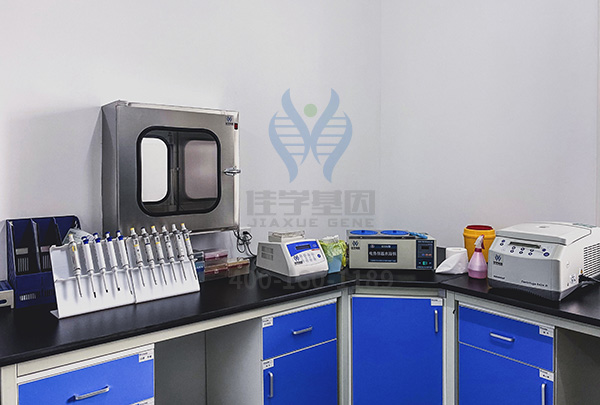 科技部一般性项目关于CD247研究的国际国内空白