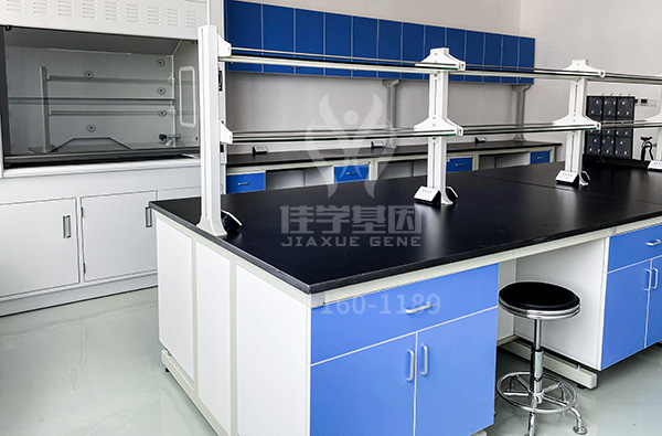 博士生开题报告中关于CDKN1C的基本内容