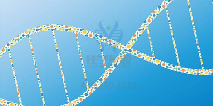 <b>【佳学基因检测】破解DCC基因突变后，可以知道哪些秘密信息？</b>