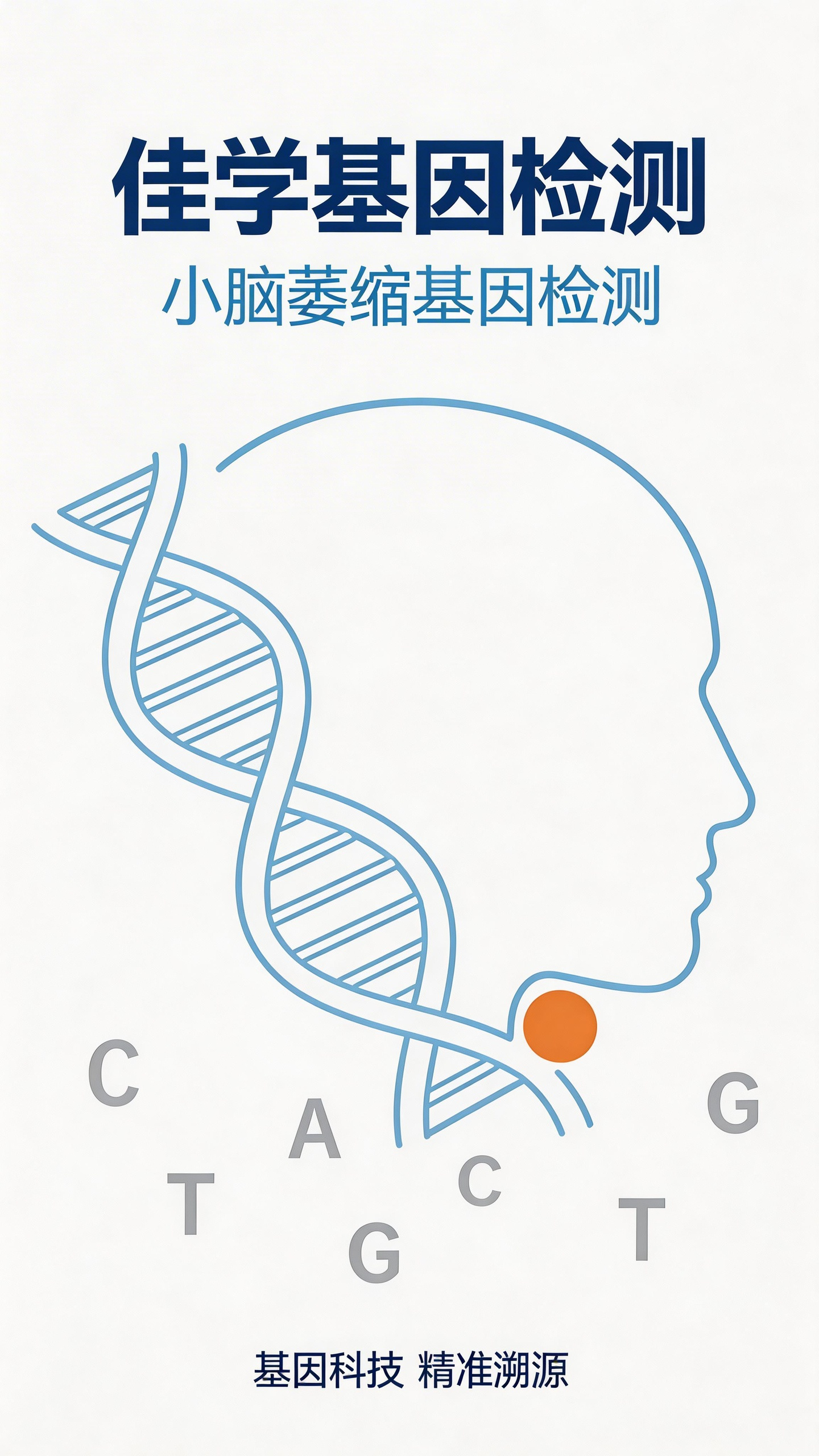 <b>【佳学基因检测】一文讲清小脑萎缩共济失调基于基因检测的靶向治疗</b>