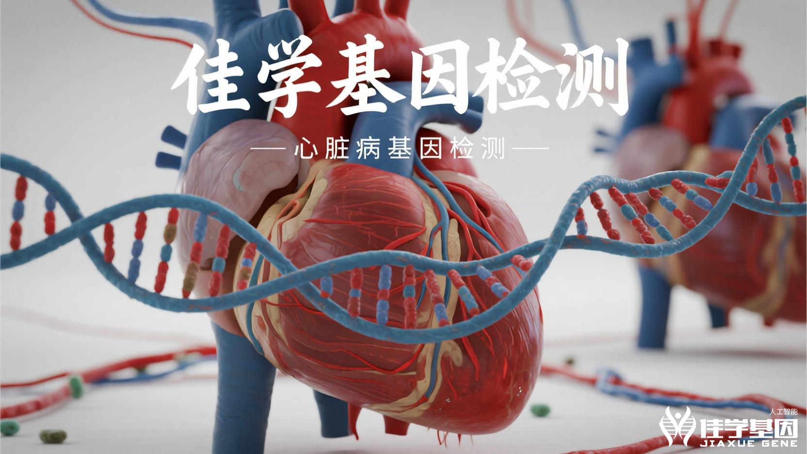 <b>【佳学基因检测】发现肾结石，可能不仅仅是“长了石头”</b>