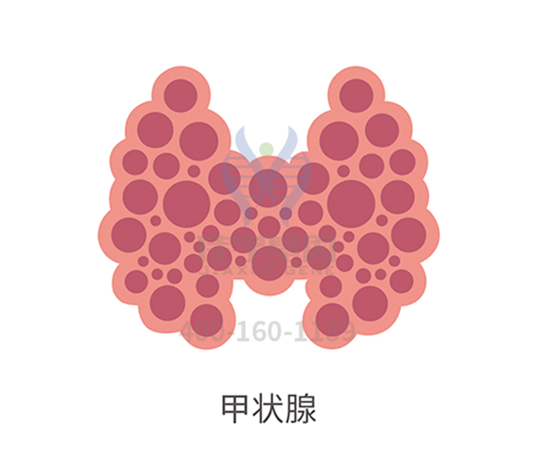 【佳学基因-基因检测】平衡碘摄入量，预防桥本甲状腺炎