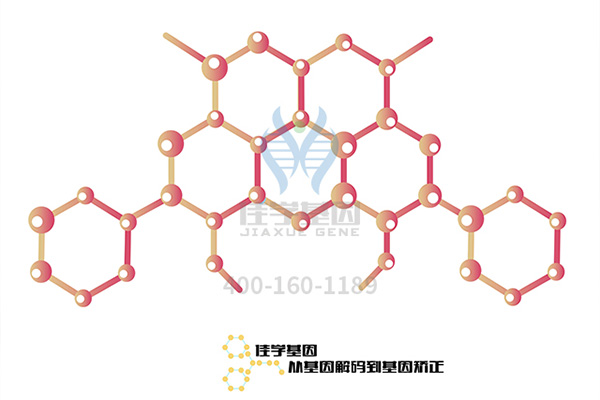 【佳学基因-基因检测】如何避免二胎患躯干发育异常这种罕见病？