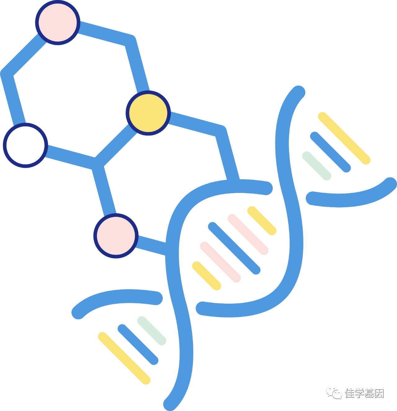 【佳学基因】类