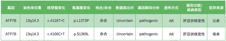 分子病理检测时查看是否包含EIF5AP3重要吗？