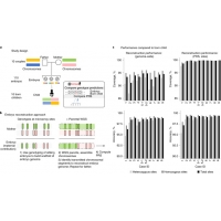 <b>【佳学基因检测】如何利用基因检测在试管婴儿中筛选胚胎</b>